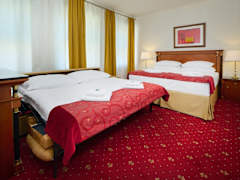 Zimmerbild 6