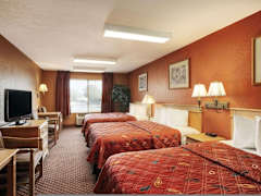 Zimmerbild 8