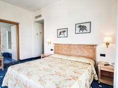 Zimmerbild 6