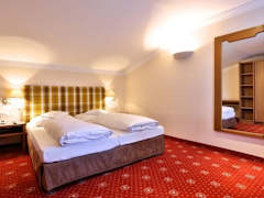 Zimmerbild 6
