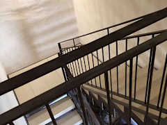 Zimmerbild 6