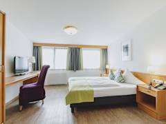 Zimmerbild 13