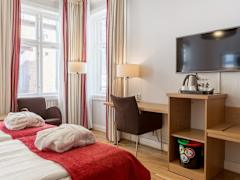 Zimmerbild 9