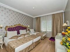 Zimmerbild 9