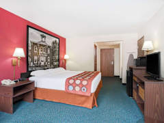 Zimmerbild 7