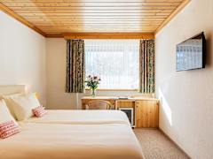 Zimmerbild 6