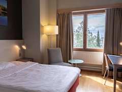Zimmerbild 11