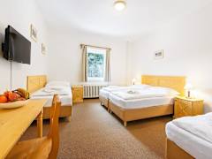 Zimmerbild 18
