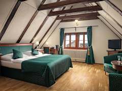 Zimmerbild 8