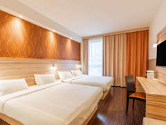 Zimmerbild 5