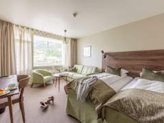 Zimmerbild 6