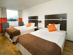 Zimmerbild 13