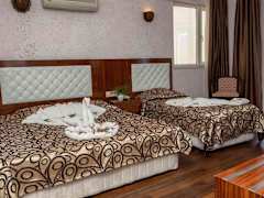 Zimmerbild 2