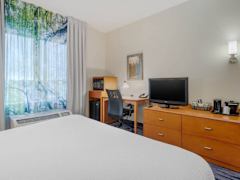 Zimmerbild 8