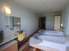 Zimmerbild 8