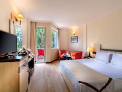 Zimmerbild 11
