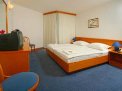 Zimmerbild 11