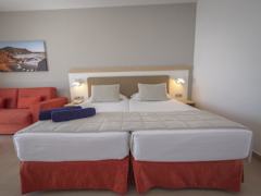 Zimmerbild 8