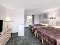 Zimmerbild 3