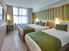Zimmerbild 6