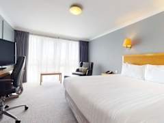 Zimmerbild 8