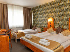 Zimmerbild 8