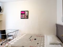 Zimmerbild 6