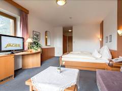 Zimmerbild 6