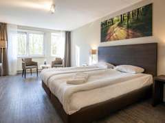 Zimmerbild 9