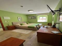 Zimmerbild 6