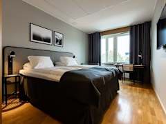 Zimmerbild 11