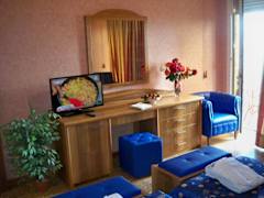 Zimmerbild 9
