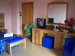 Zimmerbild 7