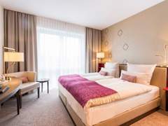 Zimmerbild 3