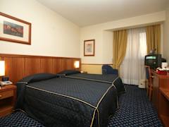 Zimmerbild 11