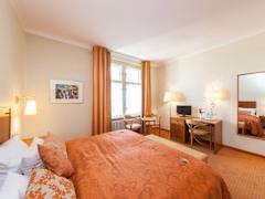 Zimmerbild 6