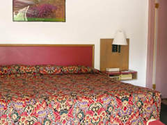 Zimmerbild 1