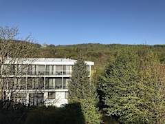 Zimmerbild 19