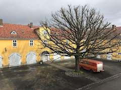 Zimmerbild 12