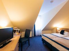 Zimmerbild 3