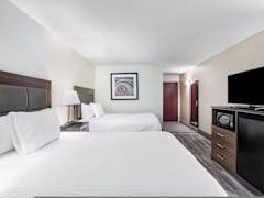 Zimmerbild 5