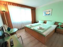 Zimmerbild 9