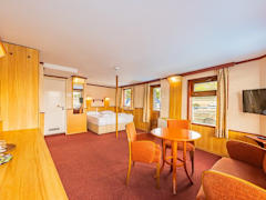 Zimmerbild 9