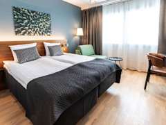Zimmerbild 15