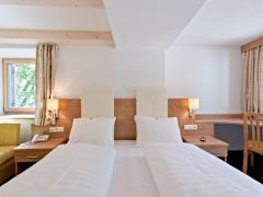 Zimmerbild 6