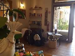 Zimmerbild 8