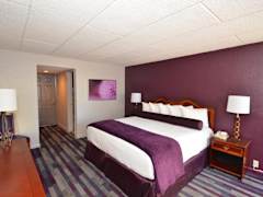 Zimmerbild 7