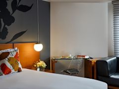 Zimmerbild 1