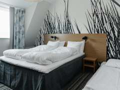 Zimmerbild 10