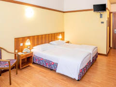 Zimmerbild 7